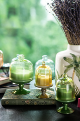 Sundance Aura - Jar Candle | Green | Herbal Haven