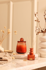 Cosmic Set - Candle (M) & Diffuser (M) & Diffuser | Orange | Summer Nectar