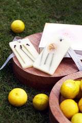 Lemon Grass and Clove - Wax Tablets | Set of 2
