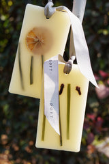 Lemon Grass and Clove - Wax Tablets | Set of 2